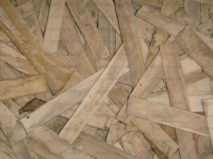 bone folder-2