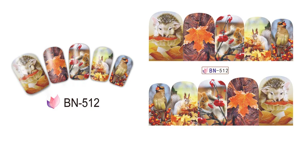 BN512