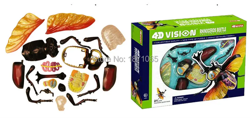 1 шт. аниме 4D Vison мастер Анатомия животных модель лягушка Скорпион Улитка паук Фигурки взрослые дети набор юного ученого подарки