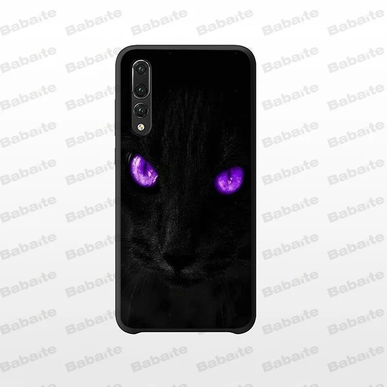 Black Cat Staring Eye