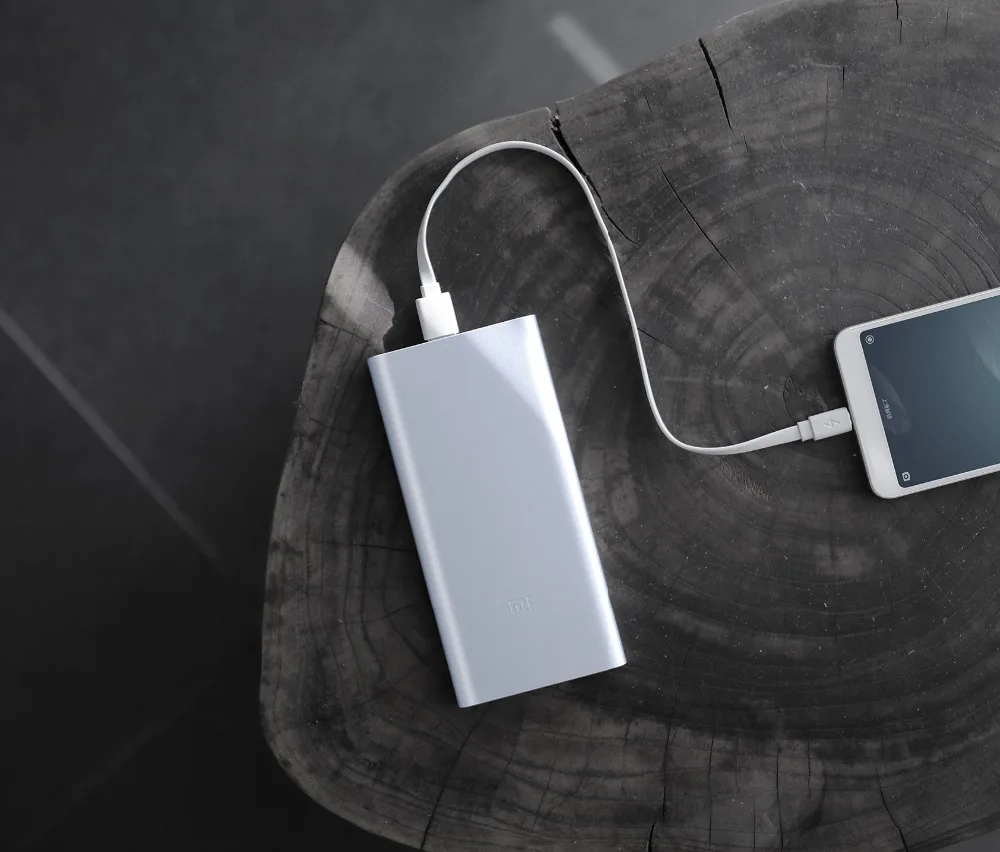 Xiaomi Mi power Bank 2 10000 мАч Внешняя батарея двойной USB быстрая зарядка PLM09ZM power bank для huawei samsung iPhone