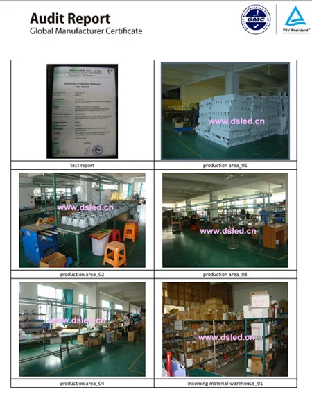 Audit Report-1