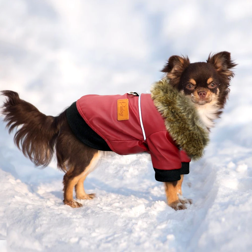 Dog Leather Jacket with Harness | Waterproof Dog Leather Jacket | Winter Coats for Dog