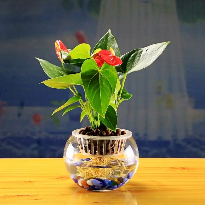 Aquarium Tray Plant Culture Blue Plants Growth Plastic Mesh Net Cloning