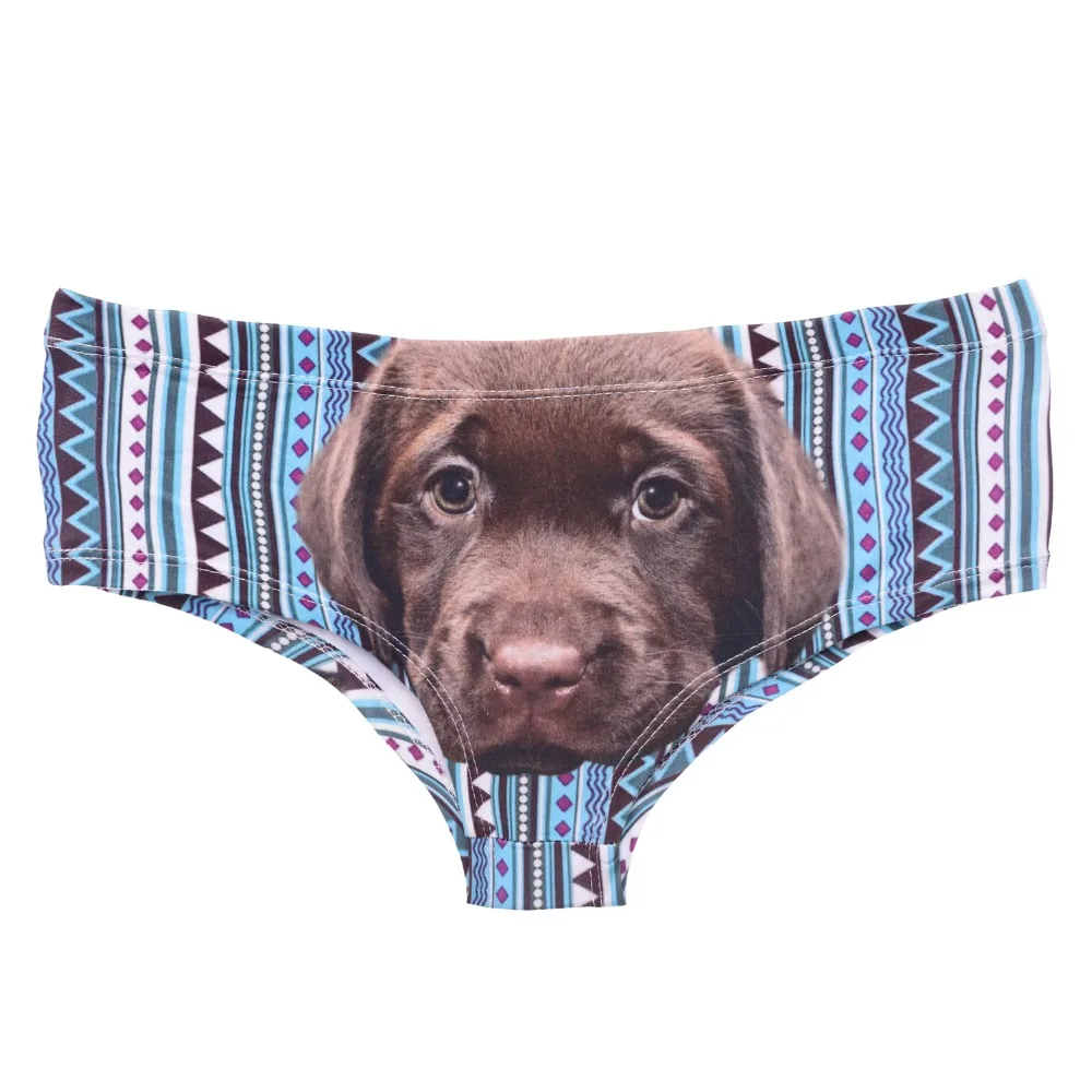 39407 brown puppy aztec (3)