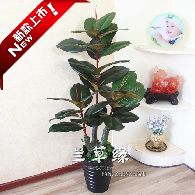 Simulation Rubber Tree Plant Potted Plants Simulation Rubber Tree Plant Potted Plants Decorate The Landing Fake Flower Trees Whole