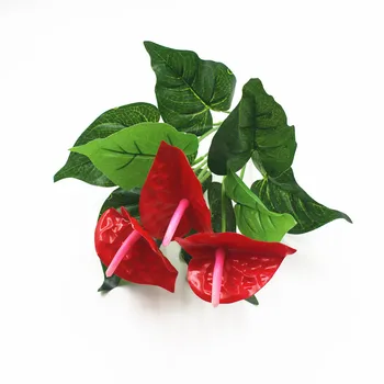 

Anthurium Bonsai Indoor Plant Bonsai Flower Bonsai DIY Balcony Flower leaf plant For The Garden Home