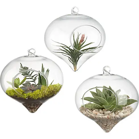 Online Get Cheap Terrarium Containers -Aliexpress.com Alibaba Group Glass Vaso 11*9cm TOP Hanging Vase Dinner Planter Terrarium Container Pots Home Wedding Decor - Online Get Cheap Terrarium Containers -Aliexpress.com Alibaba Group