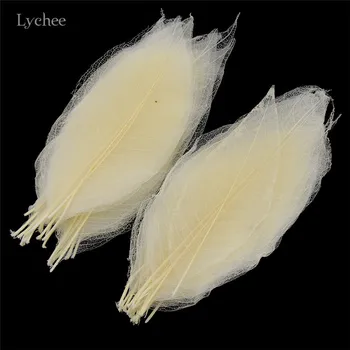 

Lychee Life 50pcs Magnolia Skeleton Leaf Dried Leaves Diy Sewing Wedding Birthday Party Supplies Home Decoration