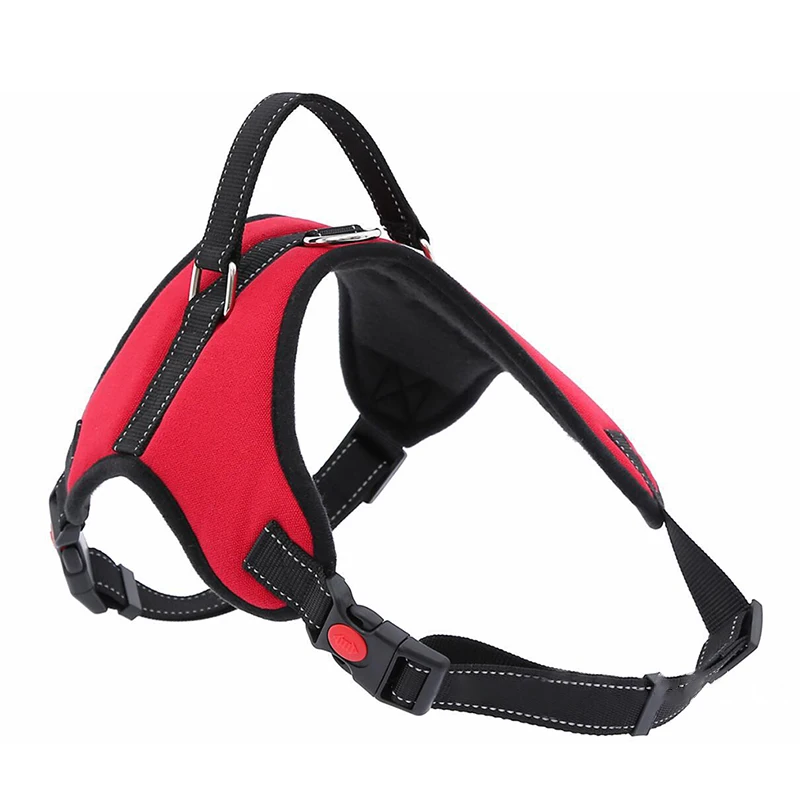 dog harness (4)