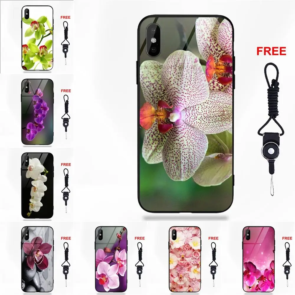 Unduh 600 Wallpaper Apple X Max Terbaik Unduh 600 Wallpaper Apple X Max Terbaik