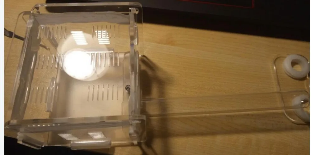 2-tubes-ant-nest (7)