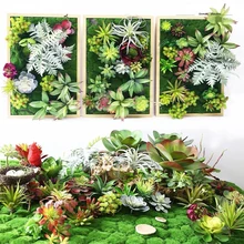 Succulents plant Spring Grass Plant Succulents plant Grass DIY bonsai Potted Garden Home Exotic Plant Ornamental Bonsai Succulents plant Spring Grass Plant Succulents plant Grass DIY bonsai Potted Garden Home Exotic Plant Ornamental Bonsai