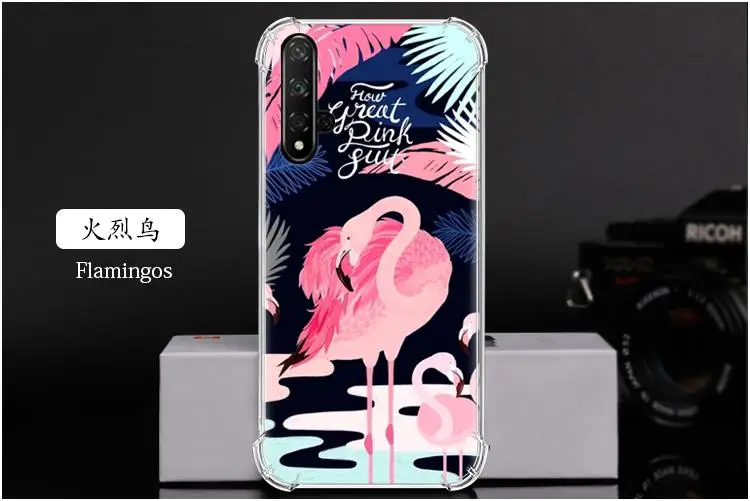 火烈鸟 Flamingos