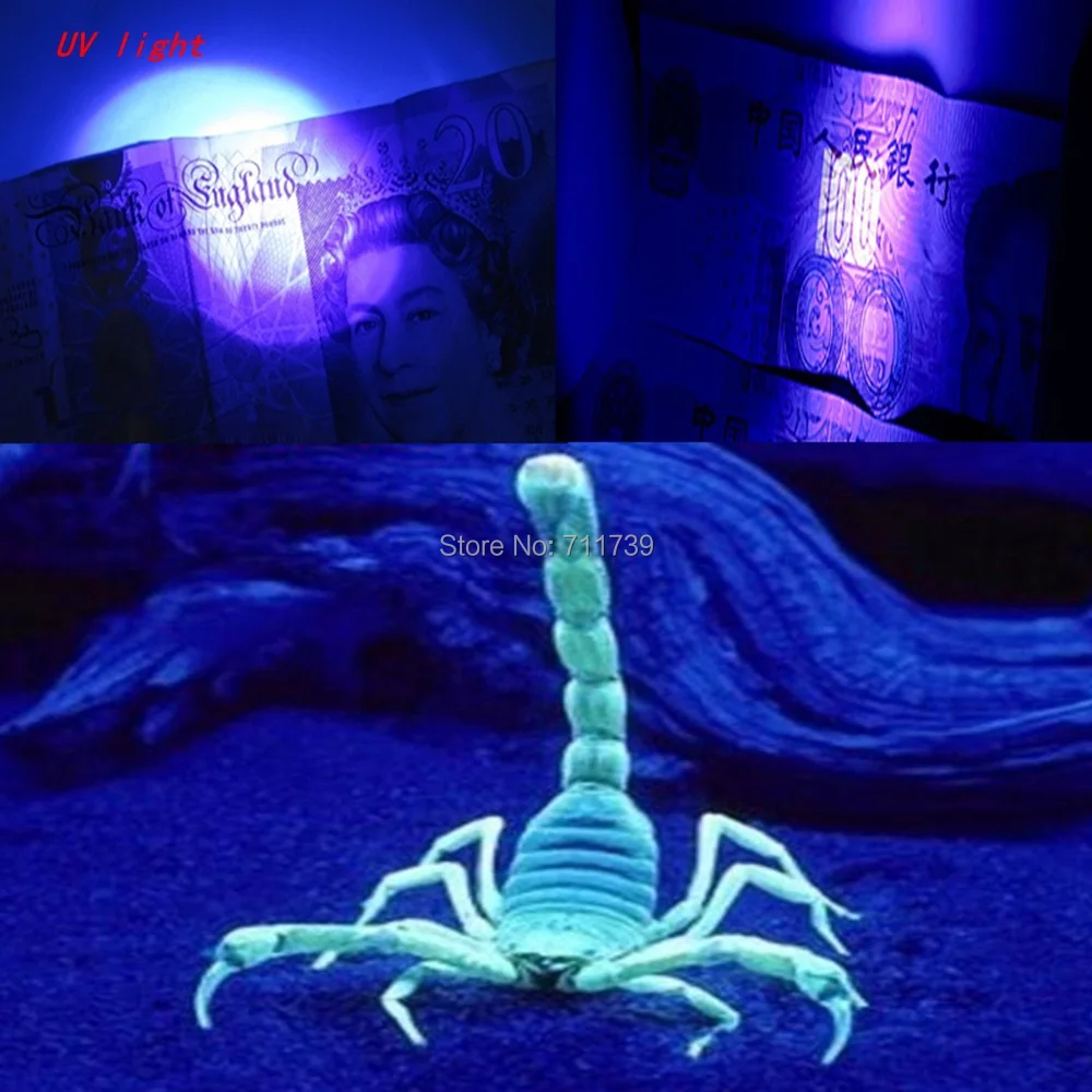 UV light.jpg