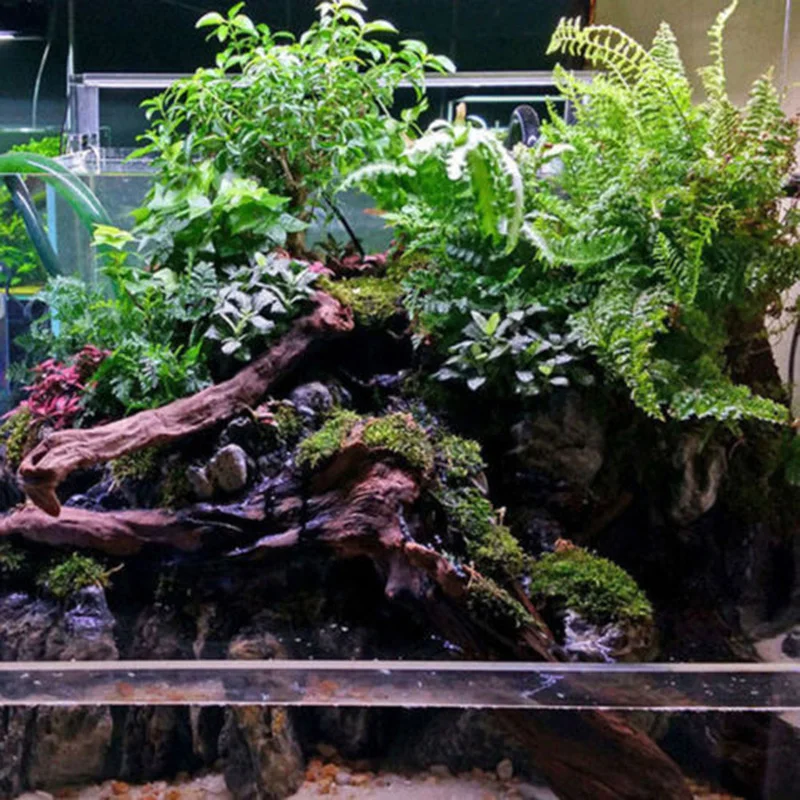 1PC Aquarium Tree Trunk Driftwood Fish Tank Reptile Plant Stump Ornament Landscap Decor Decoration Ornaments