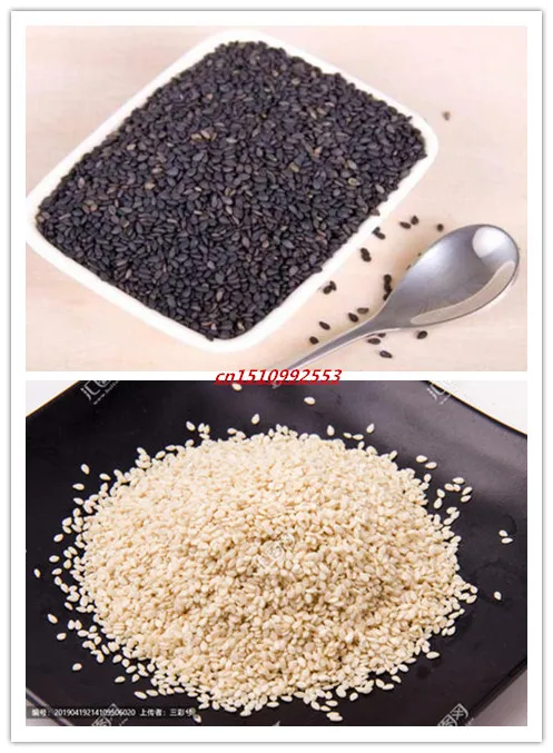 

High Quality 200 Pcs sesame Bonsai Concentrated Flavor Tender Crisp Green Vegetable Plant Small Home Garden Cultivation