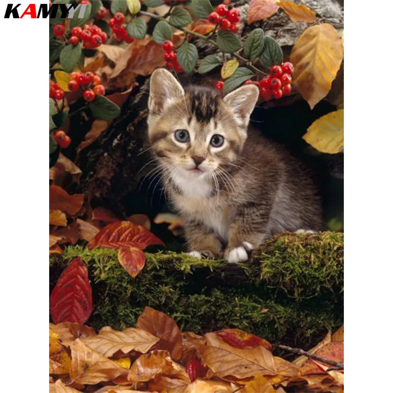 domestic-cat-tabby-kitten-among-autumn-leaves-and-cottoneaster-berries_u-l-q10o0ji0_