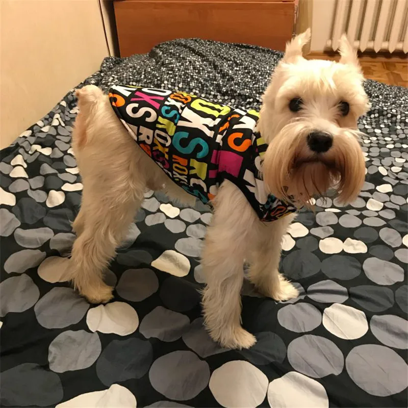 Winter Warm Pet Dog Clothes Letters Camouflage Reversible Coat Jacket For Small Medium Large Dogs Warm Cotton Pet Vest Clothing  18
