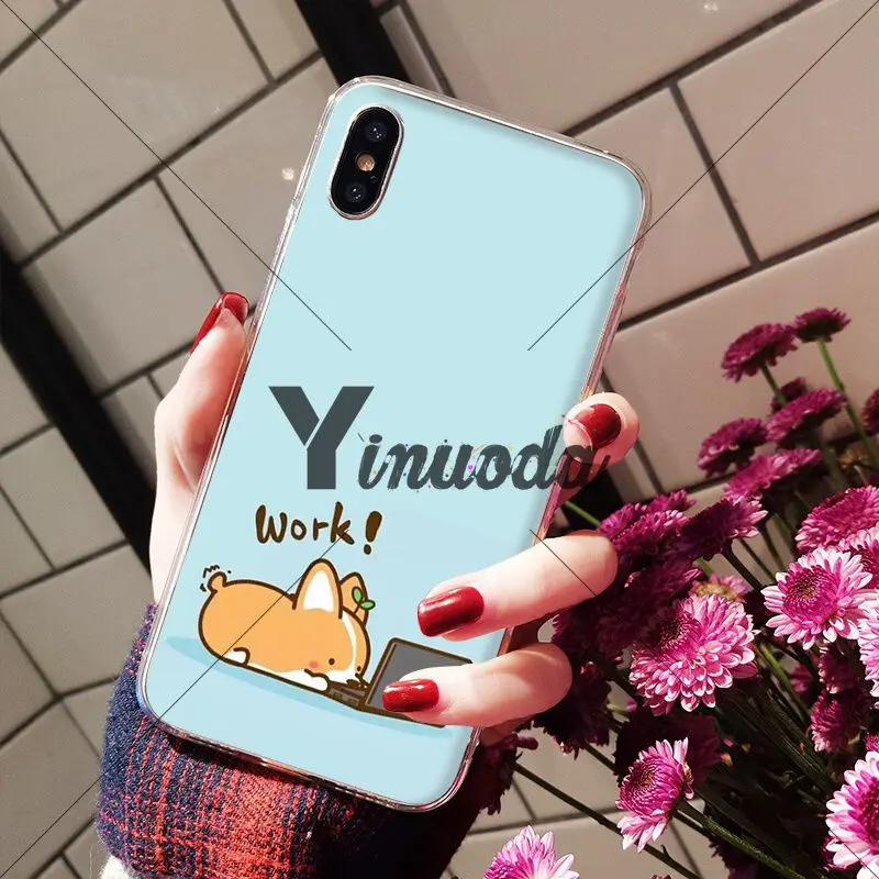 Animal cute Welsh Corgi sexy ass