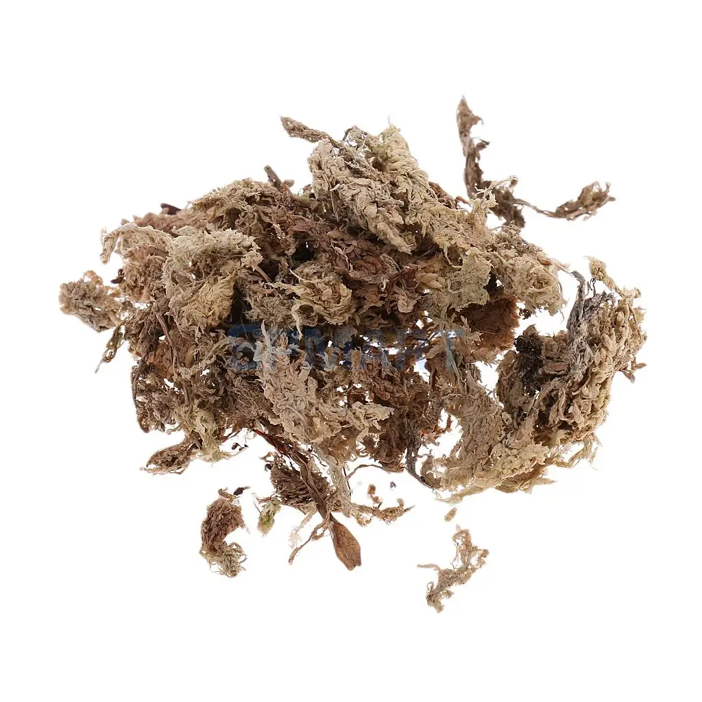 100ML/500ML Dry Grass Model Moss for Layout Terrain Vegetation Diorama Building Toy