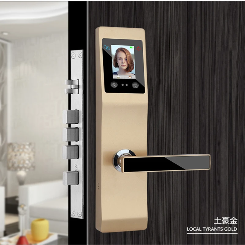 

Keyless Smart Lock intelligent Palmprint Face Facial Recognition Door Lock for home office lock security access control
