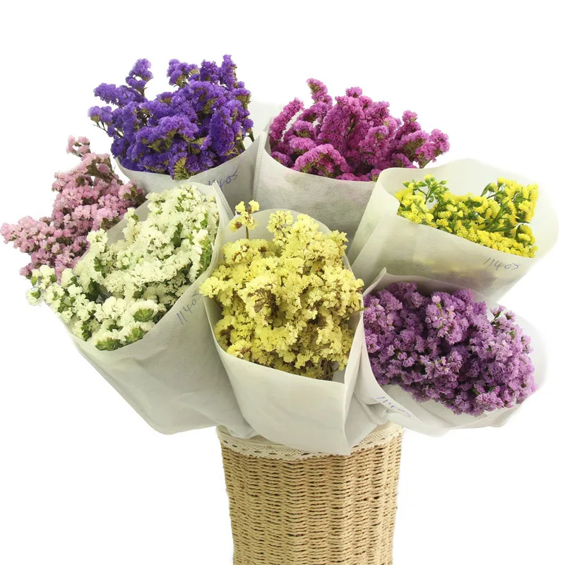 Preserved Fresh Dried Forgetful flowers Branch For Wedding Home Party Holiday Decorate DIY Bouquet Project Accessory SAD70 (8)