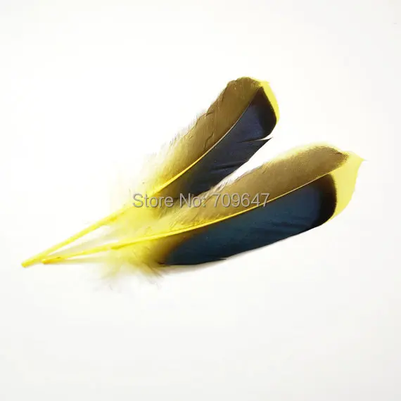 FMQ0013 (2)