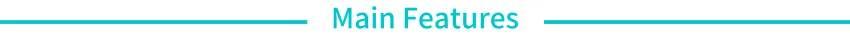 Main Features1