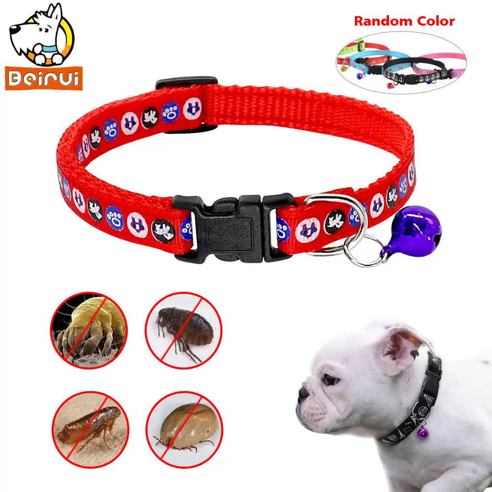 flea collars for dogs and cats