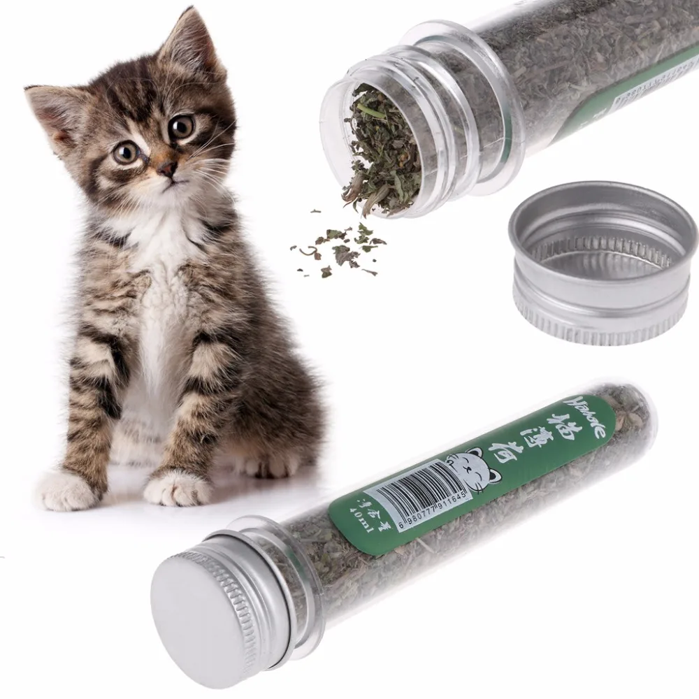 1 Bottle/40ml Natural Catnip Cat Kitten Menthol Flavor Pet For