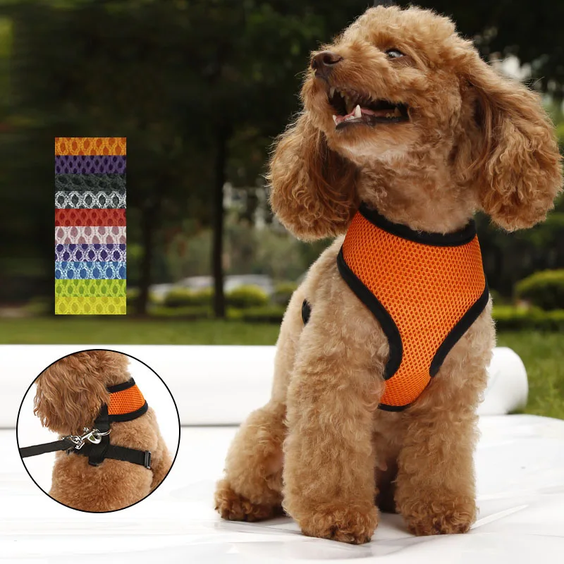 Pet Safe Control Safety Vest Leash for Small to Large Dogs Print
