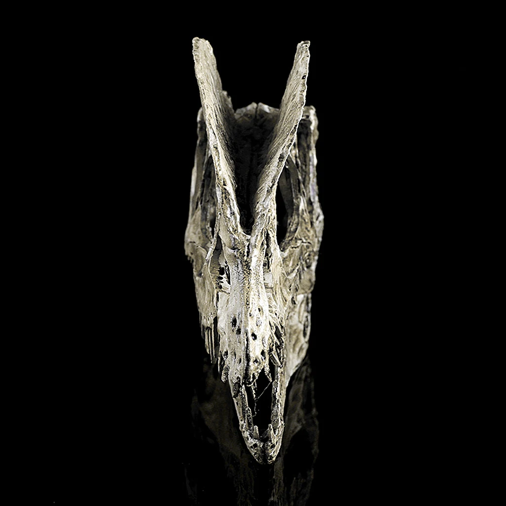 Dinosaur Skull Replica Skeleton Model Aquarium Ornament Antique Yellow for decor teaching & Collectible High Quality