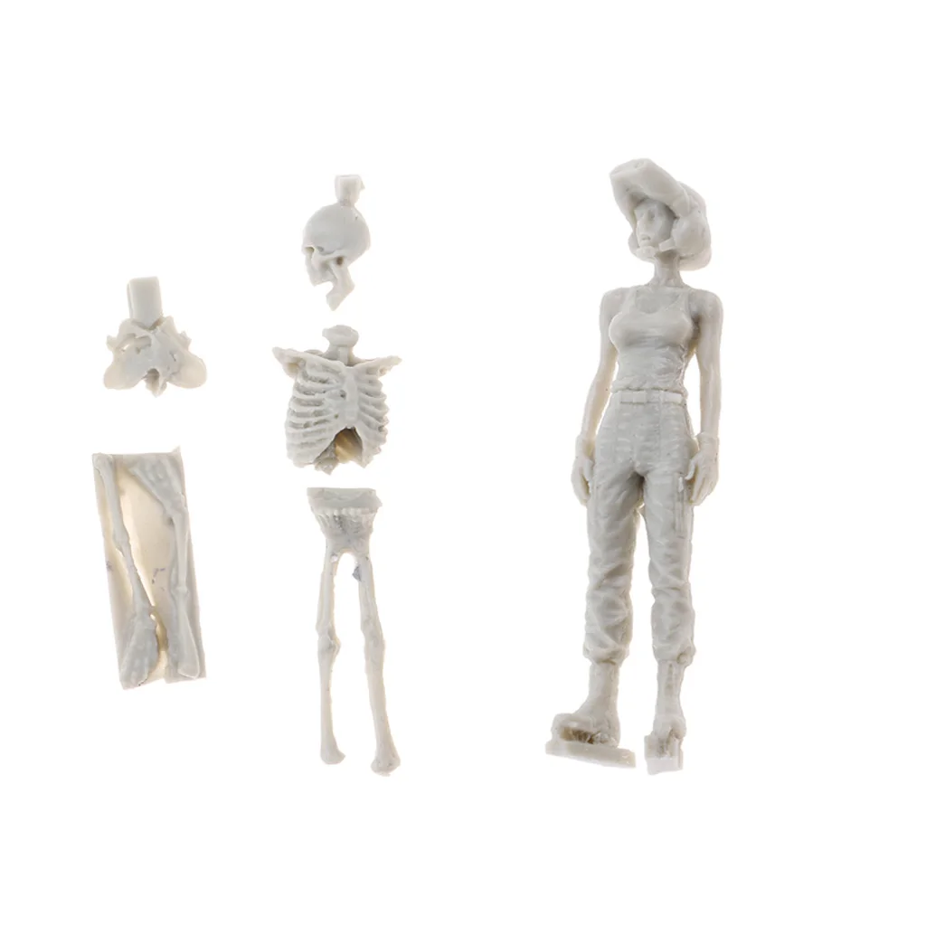 

1/35 Reisn Skull Skeleton+Female Aviatrix Action Figure Model Unpainted Unassemble Art Craft