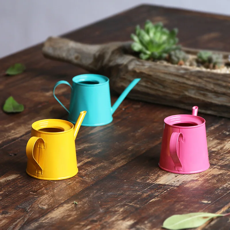 A1 Mini color small kettle gardening watering can meaty pot watering