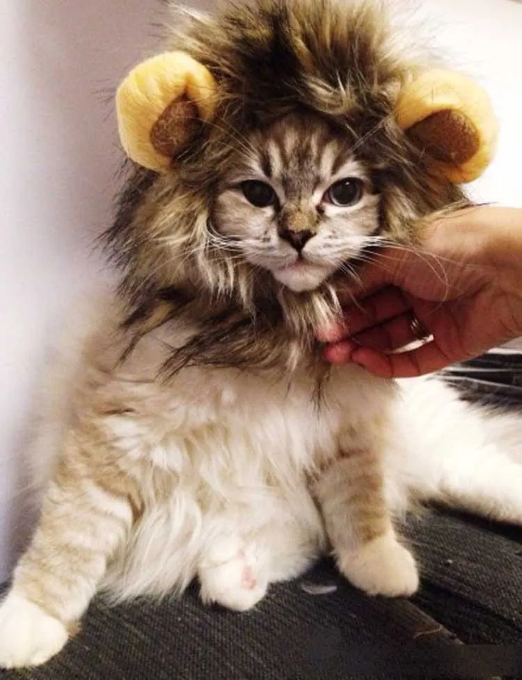 Собака кошка Лев парик Мане щенок котенок Косплэй Hairwear Шапки Хэллоуина Наряжаться с ушками