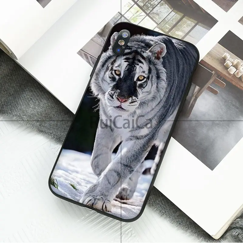 animal tiger