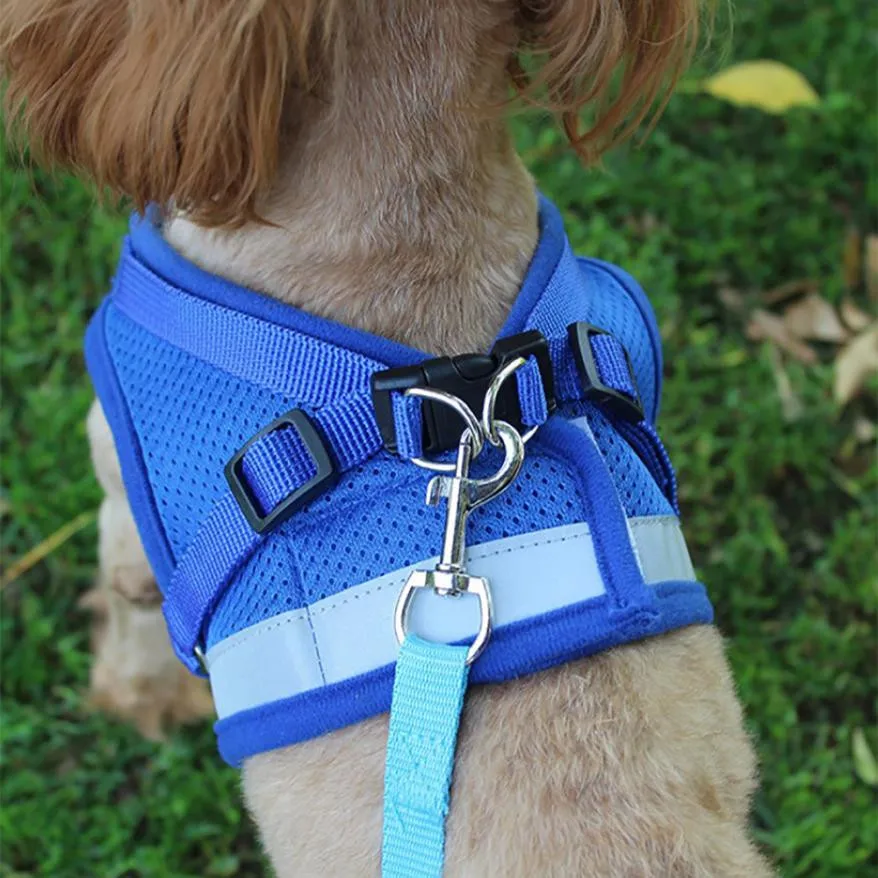 Buy 1 PCS Pets Puppy Dog Soft Mesh Walking Chest