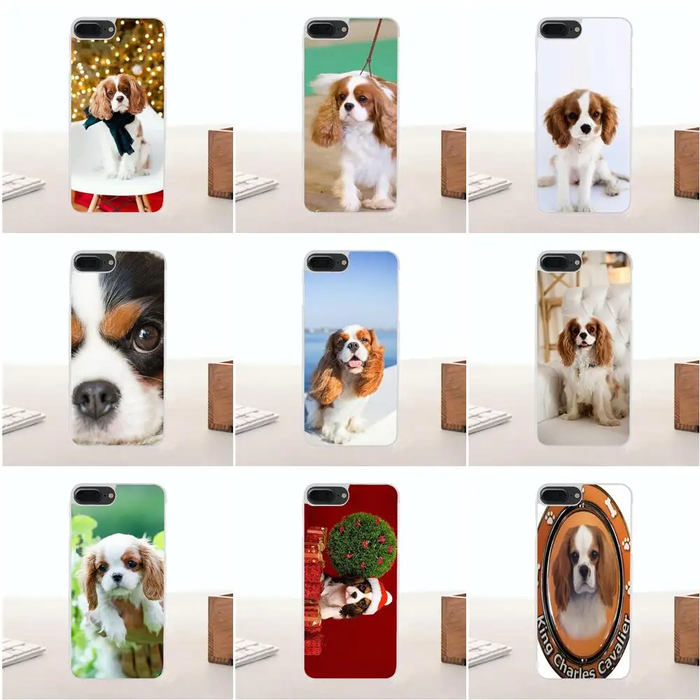 

Cavalier King Charles Spaniel Dog For Huawei Honor 4C 5A 5C 5X 6 6A 6X 7 7A 7C 7X 8 8C 8S 9 10 10i 20 20i Lite Pro Silicone Case