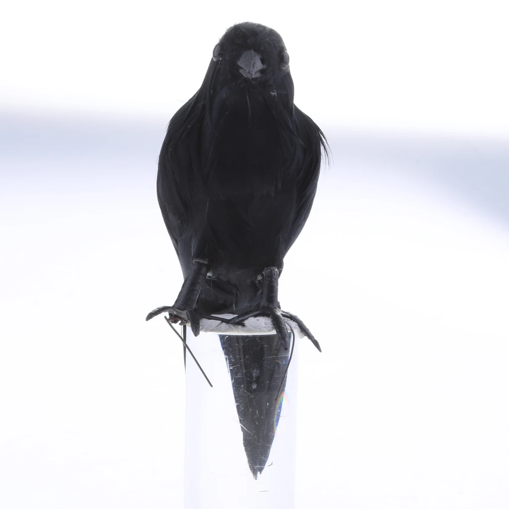 Fake Artificial Crow Bird Feathered Realistic Garden Home Decor Ornament
