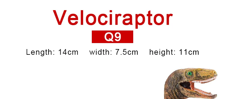 -16-_16