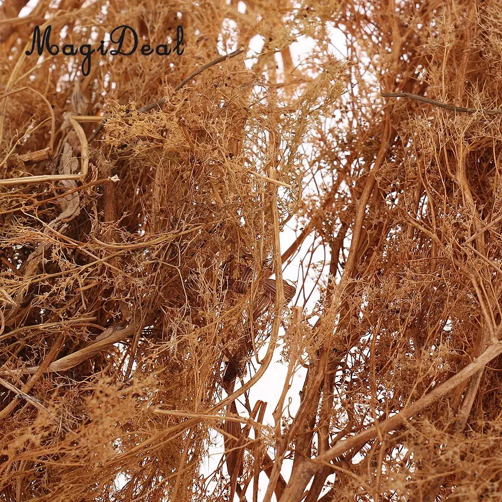 MagiDeal 1Pack Layout Dry Natural Quinoa Model DIY Tree Landscape for RR Train Diorama Train Railway Railroad Scene Scenery 25cm
