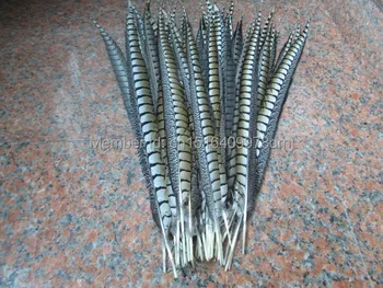 

Wholesale 50 natural color pheasant feathers 40-50 cm 16-20 inches Tail Feathers for wedding dance celebration DIY decoration