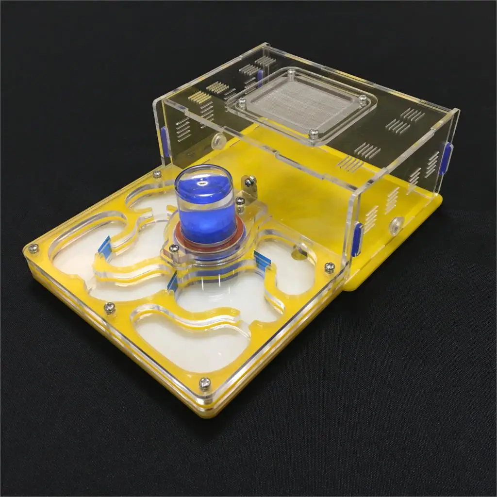 ant-grape L plane moisture with feeding area ant nest,ant farm acrylic,insect ant  villa pet advanced mania for house ants