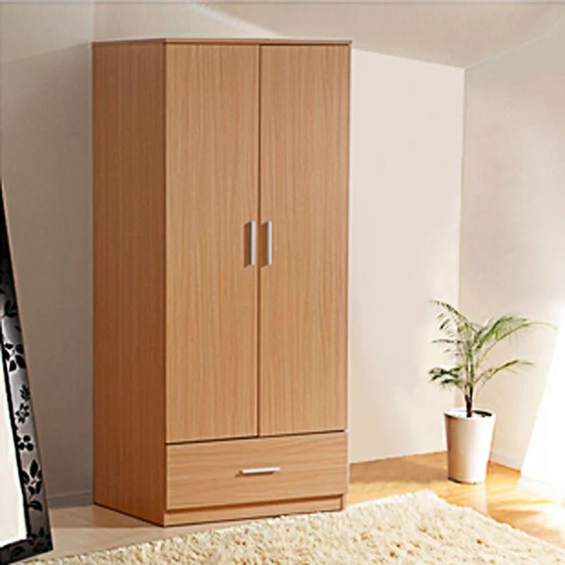 Daryl Minimalist Modern Home Design Double Door Wardrobe