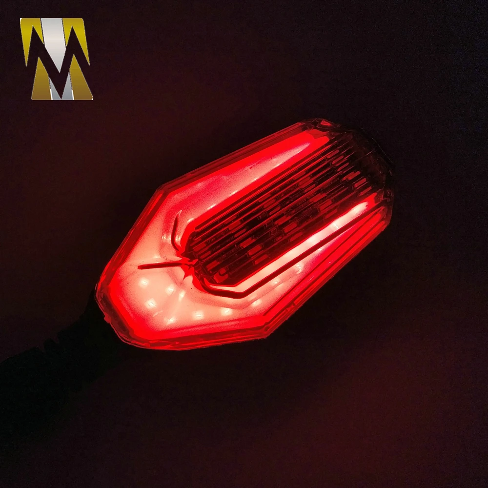 Universal Turning Signal Light (39)
