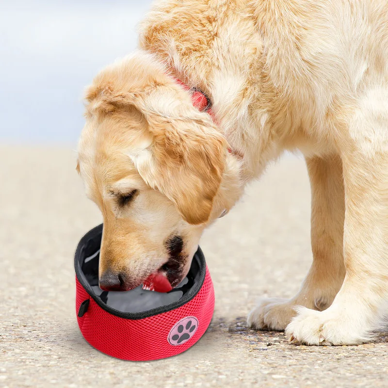 NJBW6