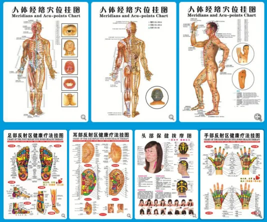 

7 / 3 Pcs Chinese and English posters of moxibustion and moxibustion on acupoints and meridians of traditional Chinese medicine