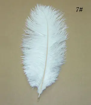 

50pcs 30-35 cm / 12-14'' White color ostrich decorative plumes feather wedding table decoration centerpieces for bulk sale