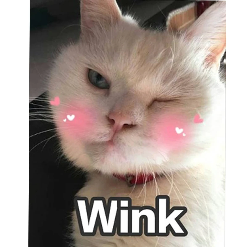 555555